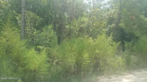 0 Kirchherr Avenue Hastings FL 32145