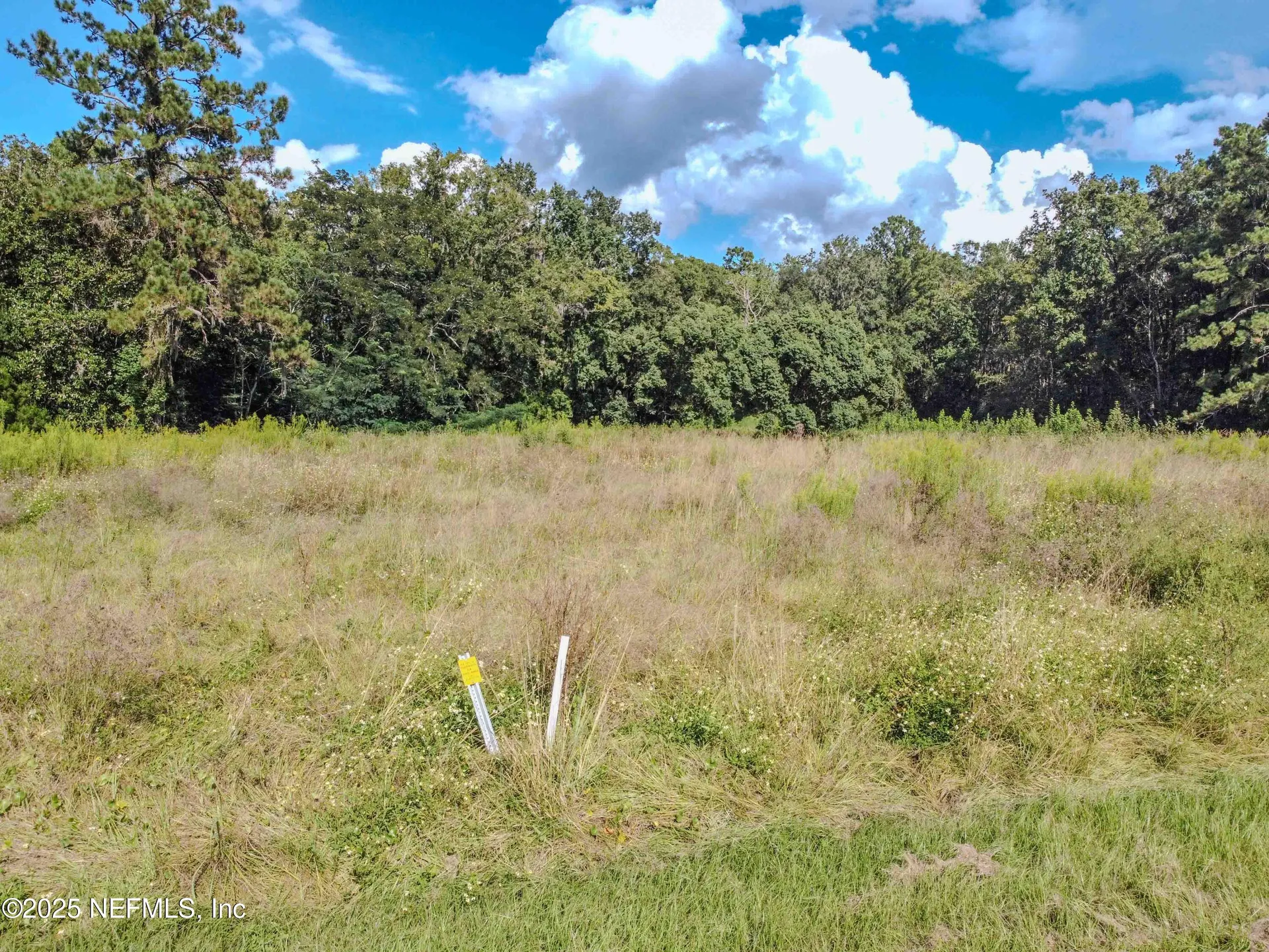 3305 Us Highway 17 Green Cove Springs FL 32043
