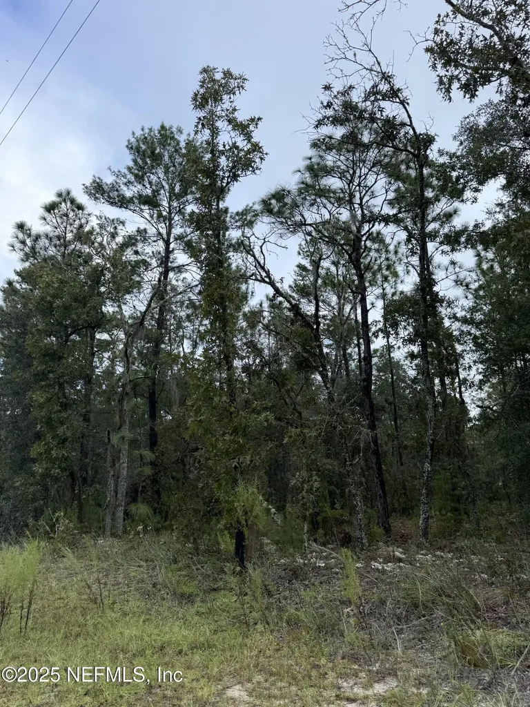 5830 Campo Drive Keystone Heights FL 32656