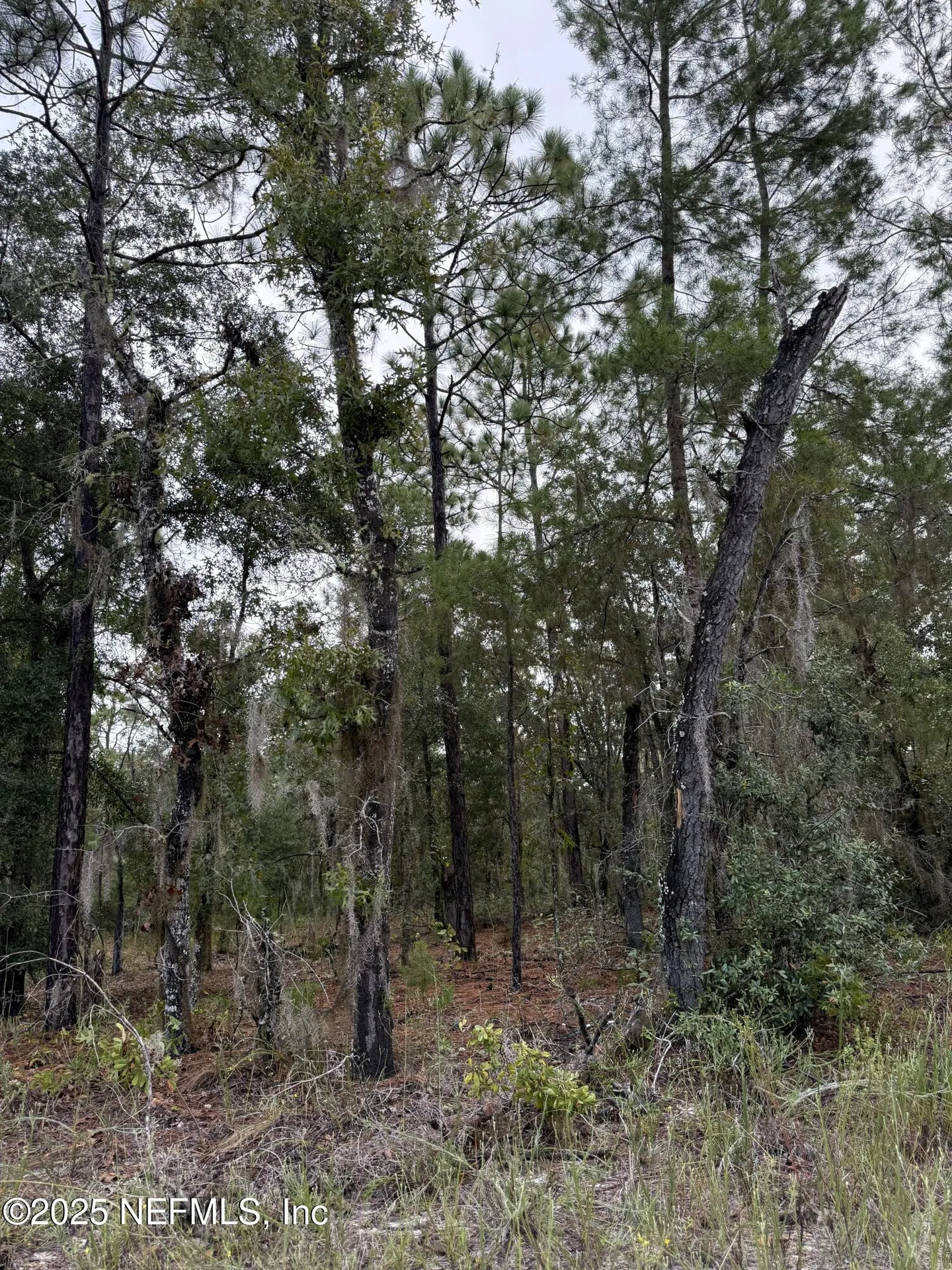 5830 Campo Drive Keystone Heights FL 32656