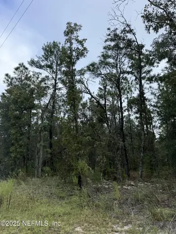 5830 Campo Drive Keystone Heights FL 32656