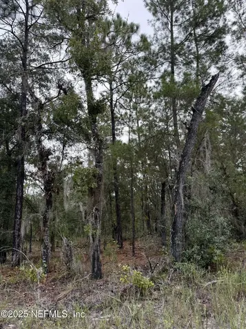 5830 Campo Drive Keystone Heights FL 32656