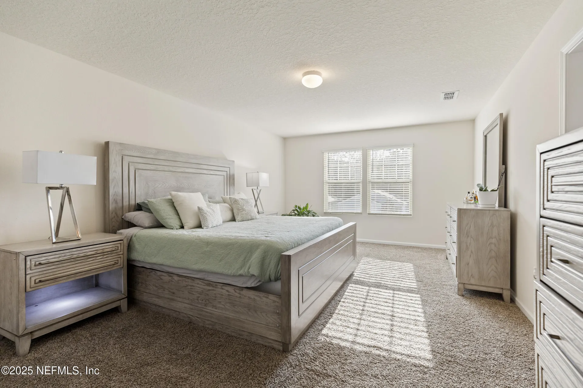 2411 Oak Stream Drive Green Cove Springs FL 32043