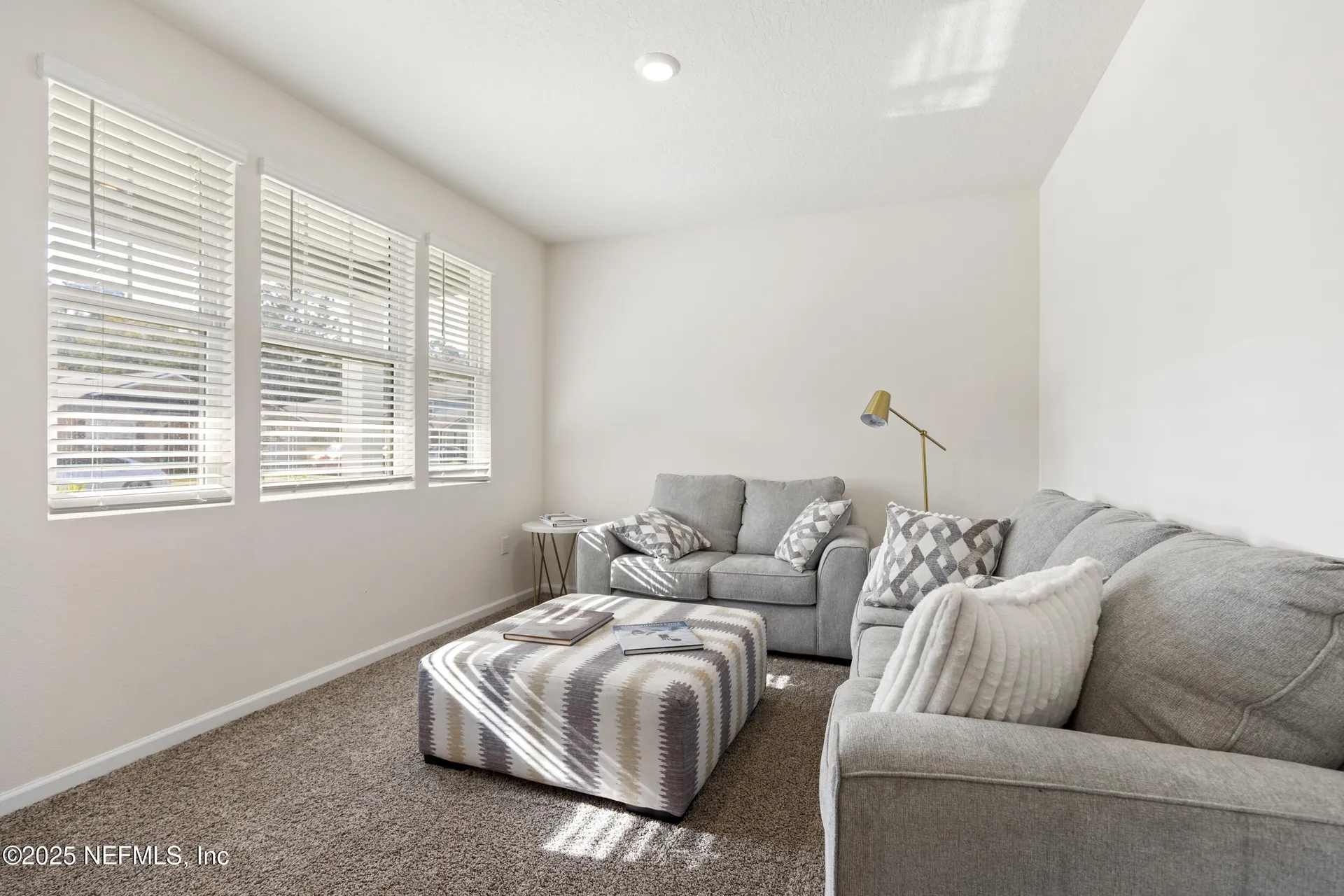 2411 Oak Stream Drive Green Cove Springs FL 32043