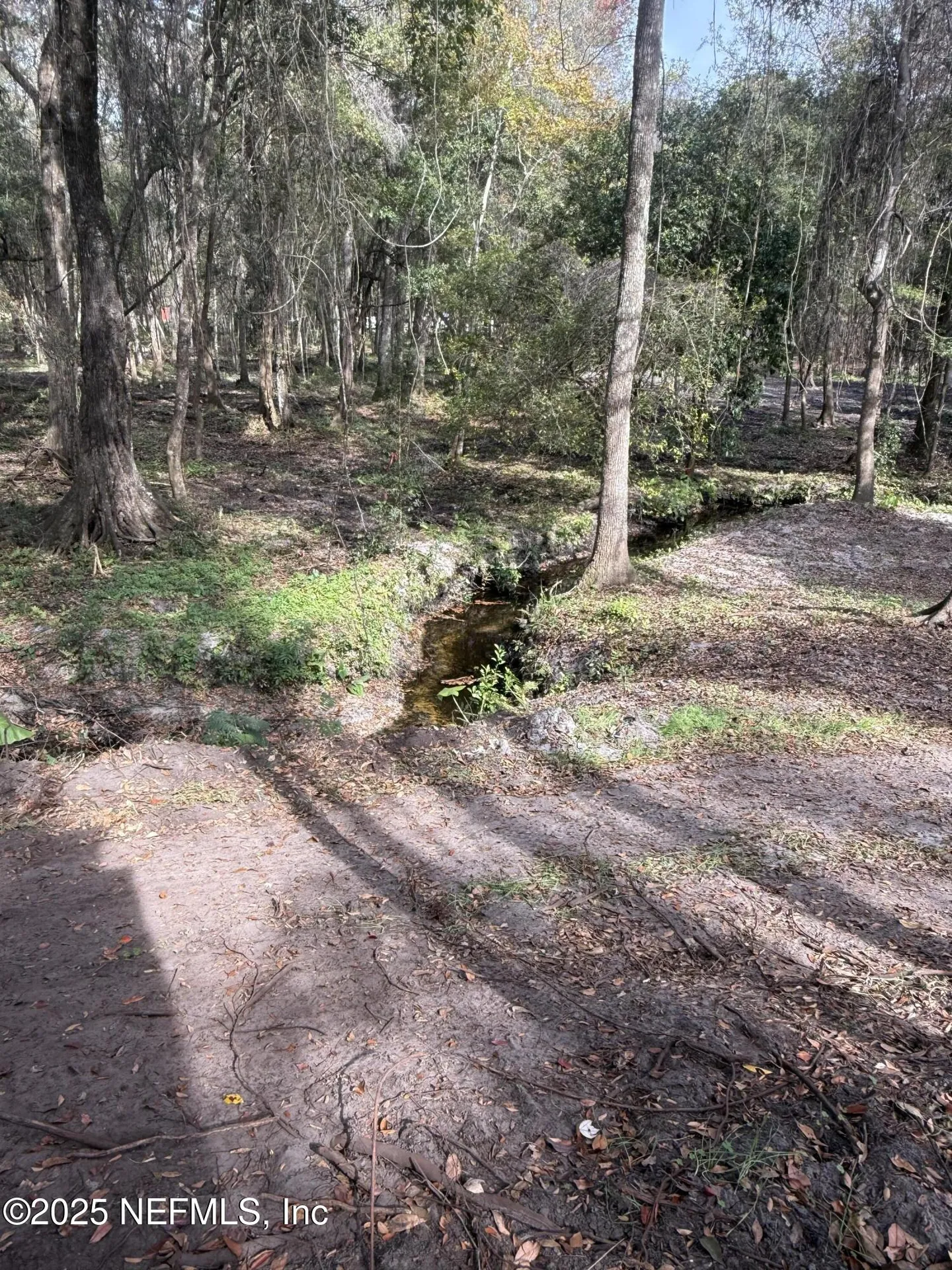 2226 State Road 16 Green Cove Springs FL 32043