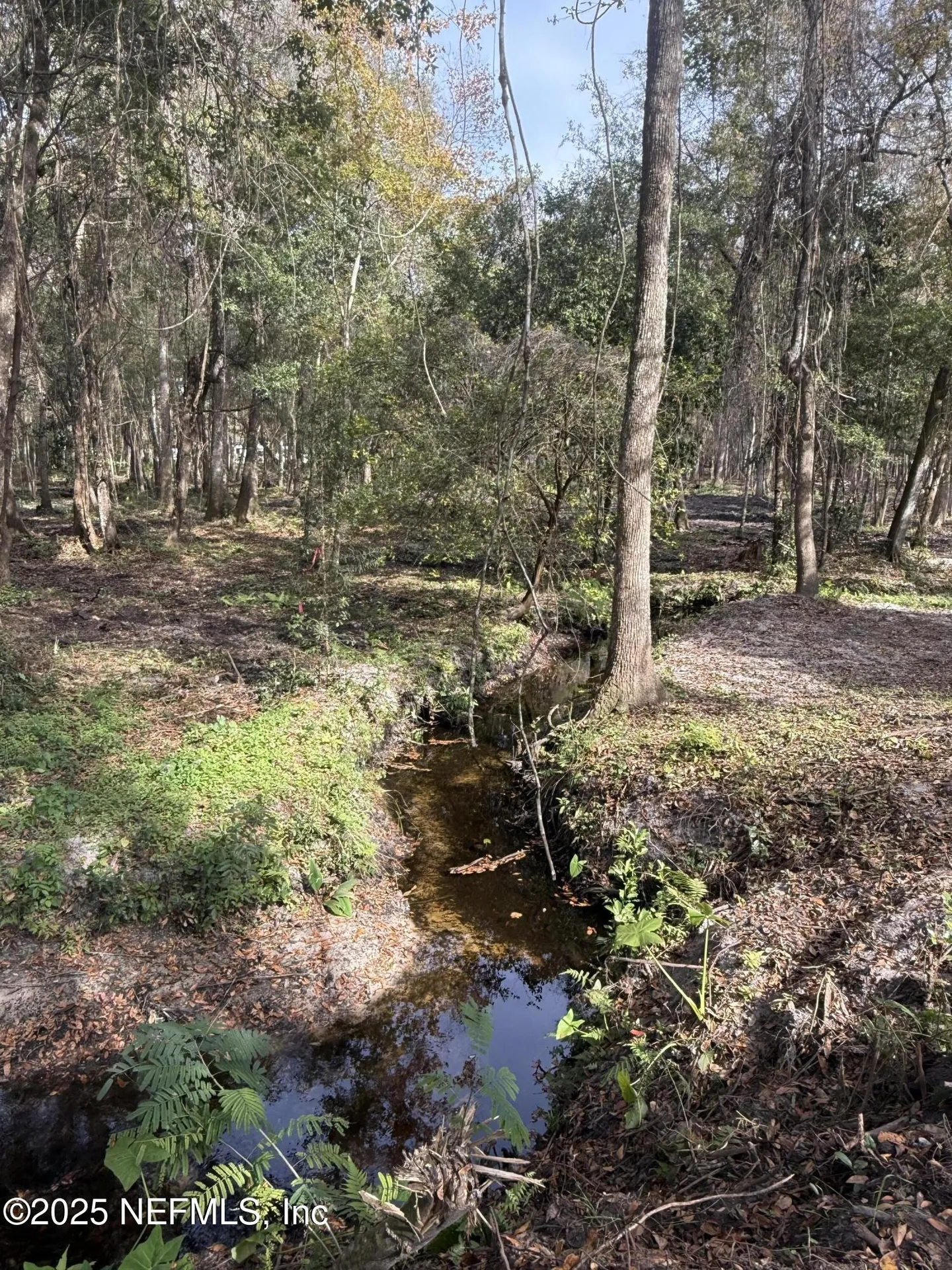 2226 State Road 16 Green Cove Springs FL 32043
