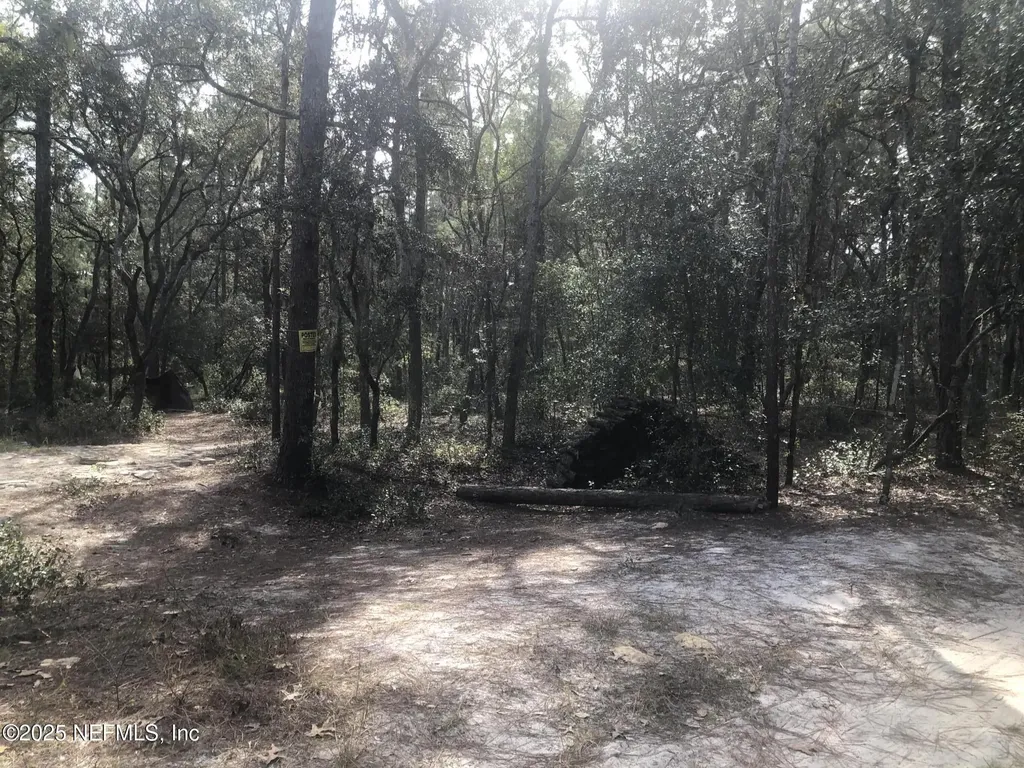 105 Nevada Drive Satsuma FL 32189