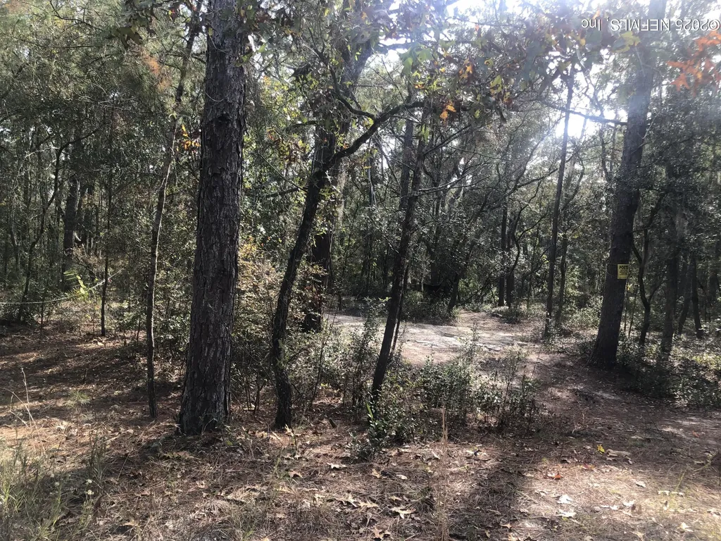 105 Nevada Drive Satsuma FL 32189