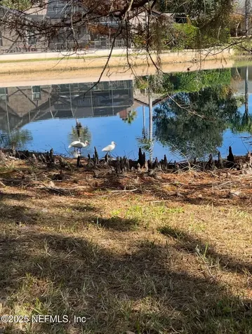 2515 Emperor Drive Jacksonville FL 32223