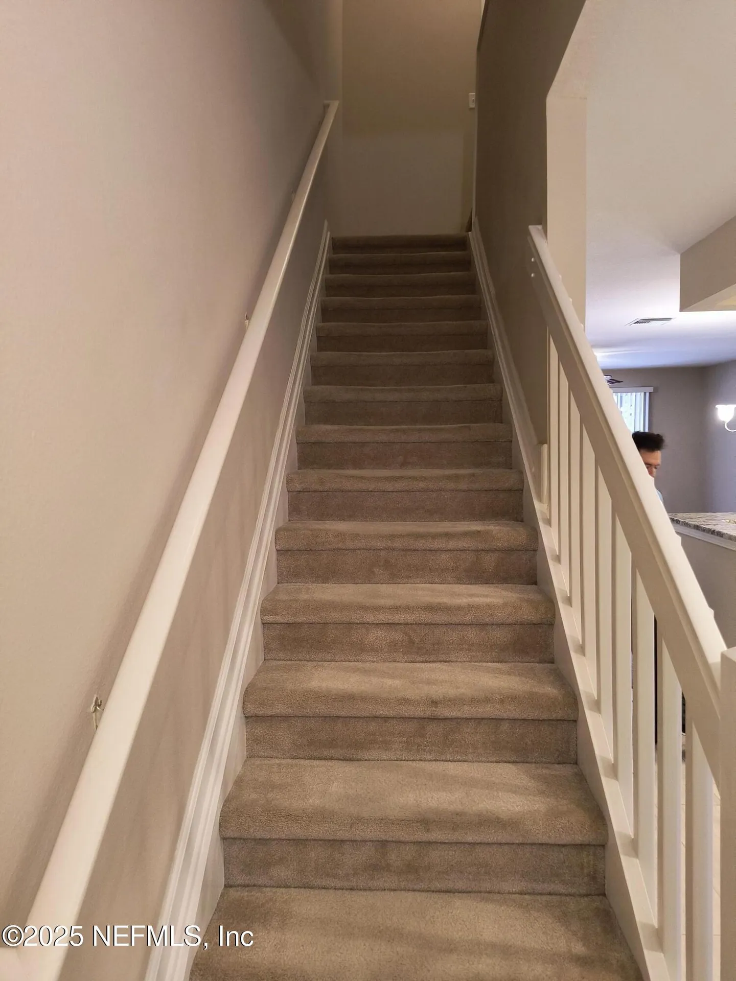 3253 Climbing Ivy Trail Jacksonville FL 32216