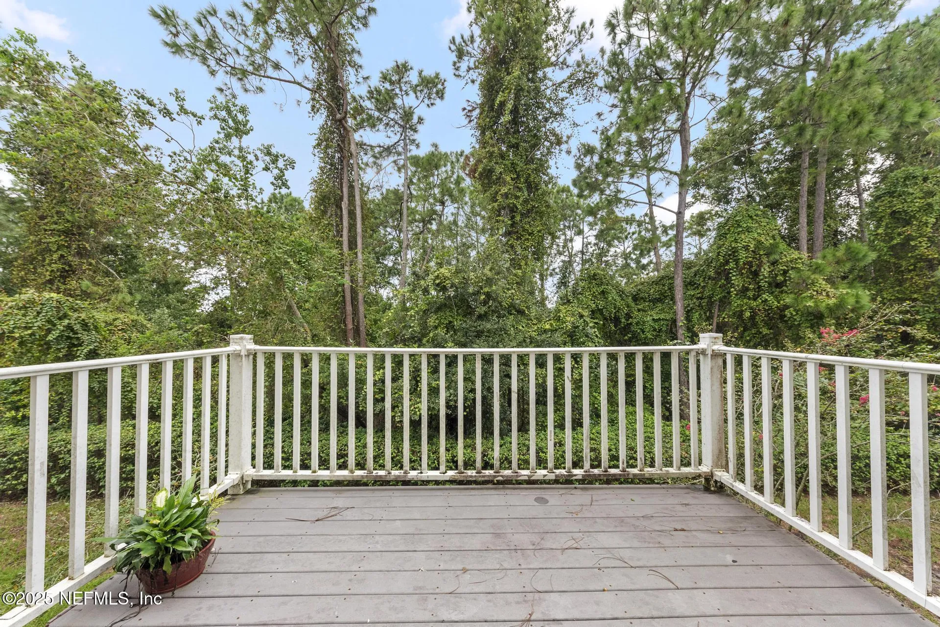 4510 Congressional Drive Jacksonville FL 32246