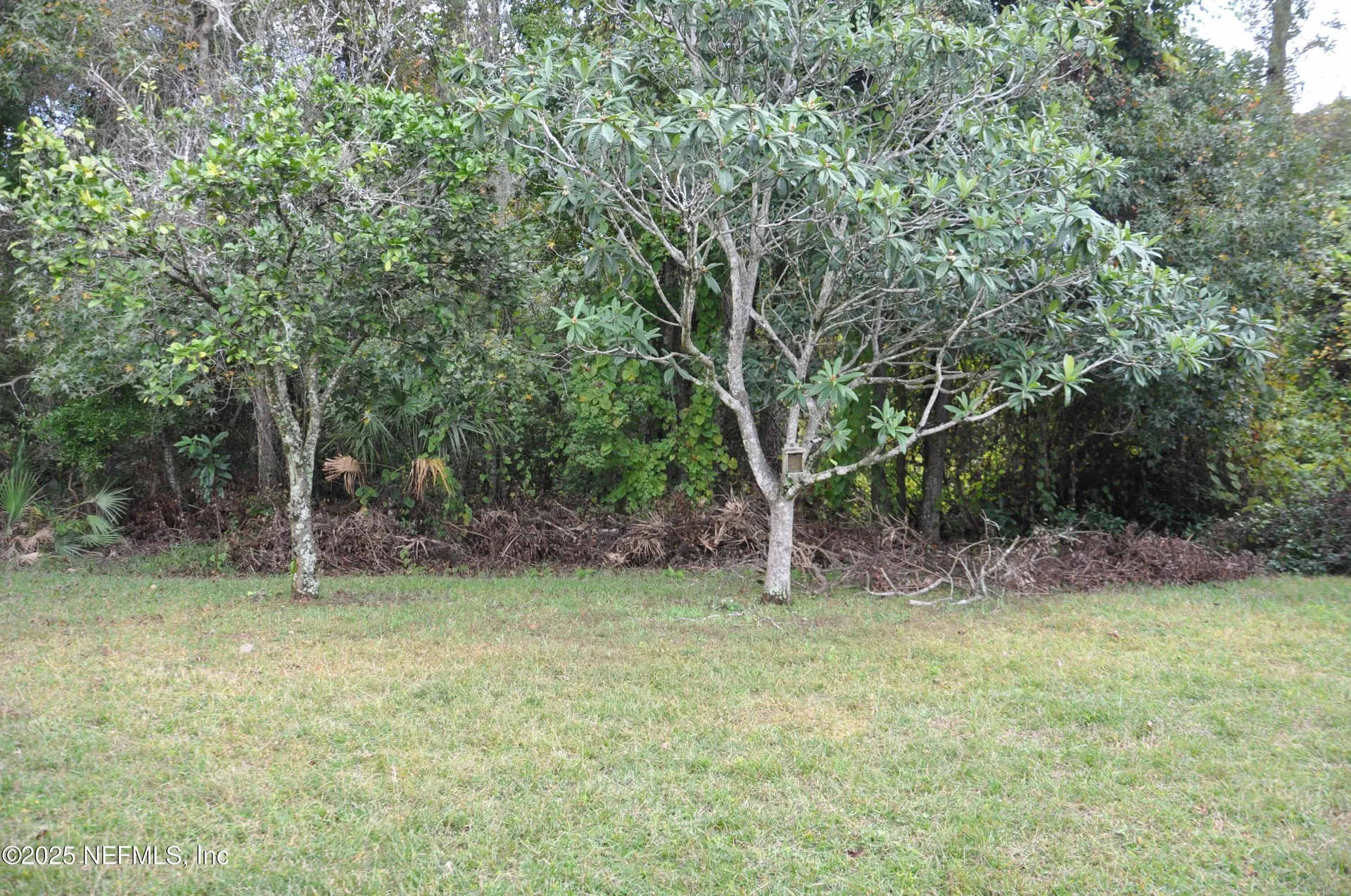 14561 Starbuck Springs Way Jacksonville FL 32258