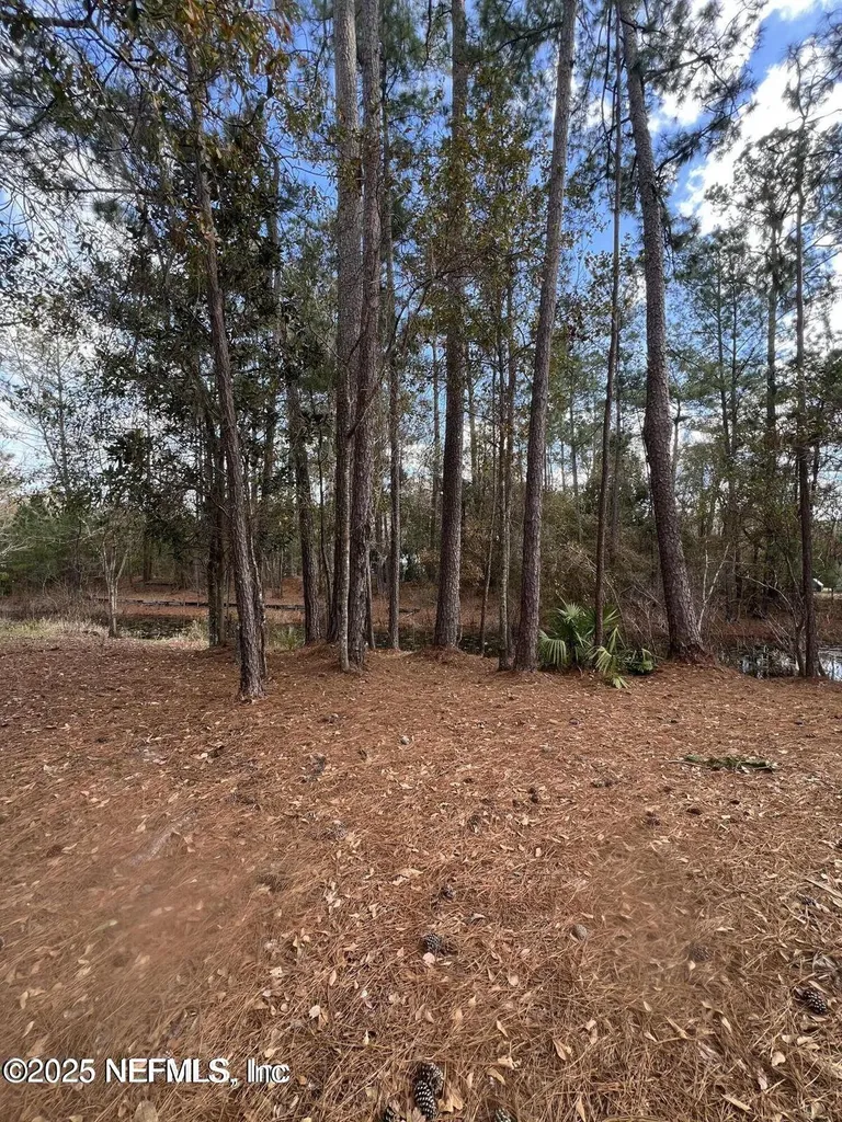Lot 36 37 SW 162nd Terrace Starke FL 32091