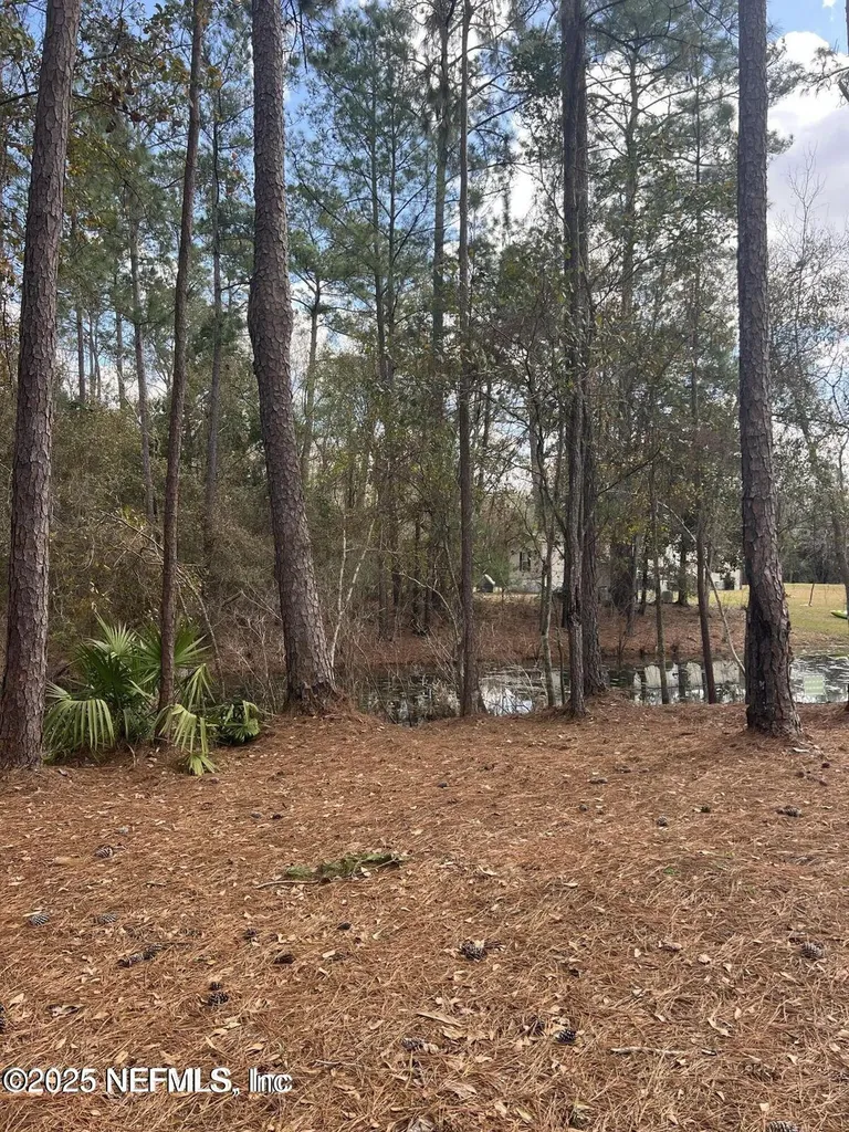 Lot 36 37 SW 162nd Terrace Starke FL 32091