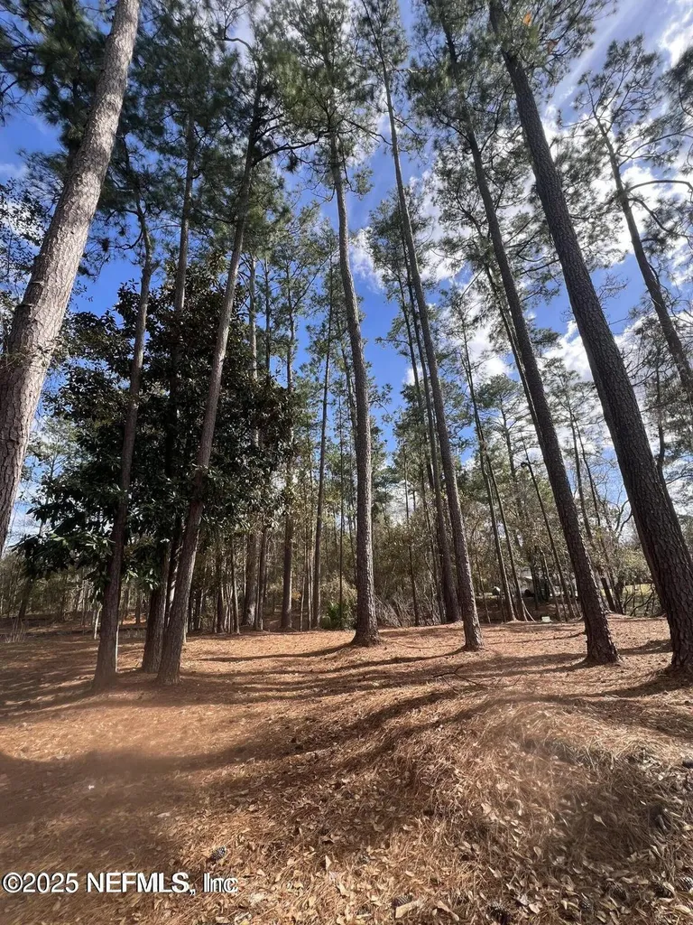 Lot 36 37 SW 162nd Terrace Starke FL 32091