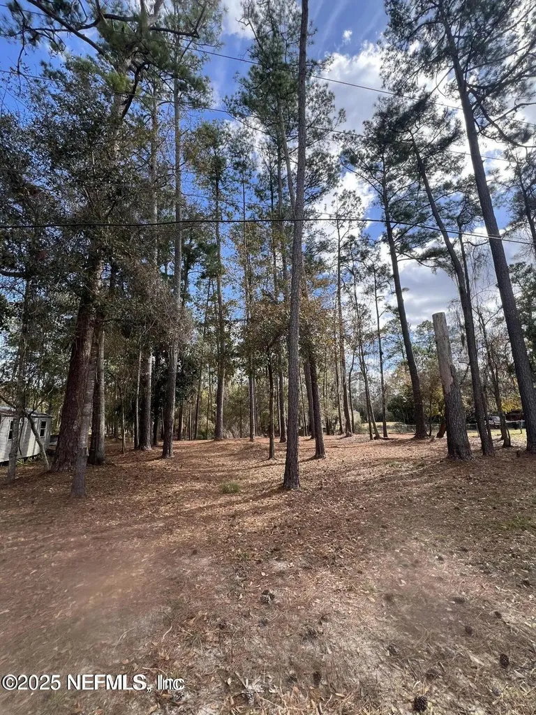 Lot 36 37 SW 162nd Terrace Starke FL 32091