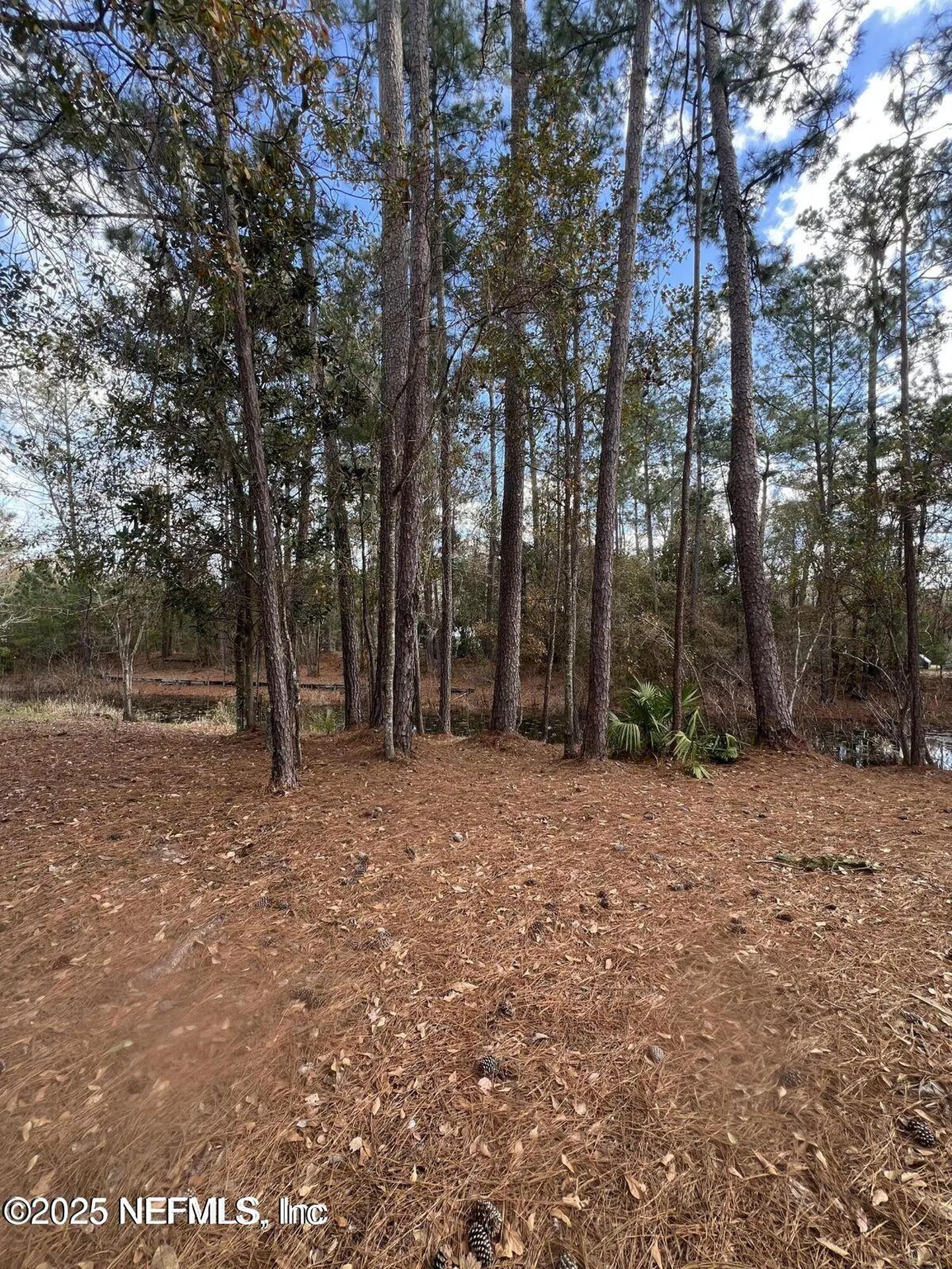 Lot 36 37 SW 162nd Terrace Starke FL 32091
