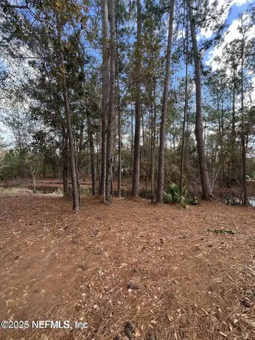 Lot 36 37 SW 162nd Terrace Starke FL 32091