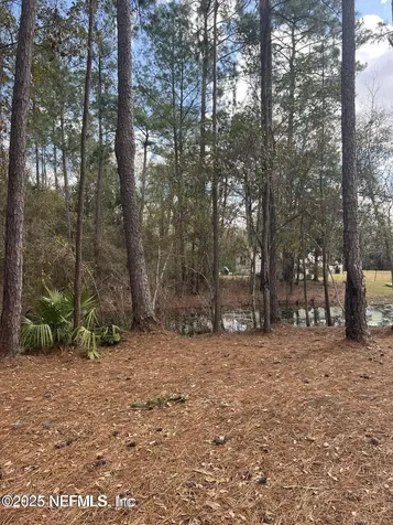 Lot 36 37 SW 162nd Terrace Starke FL 32091
