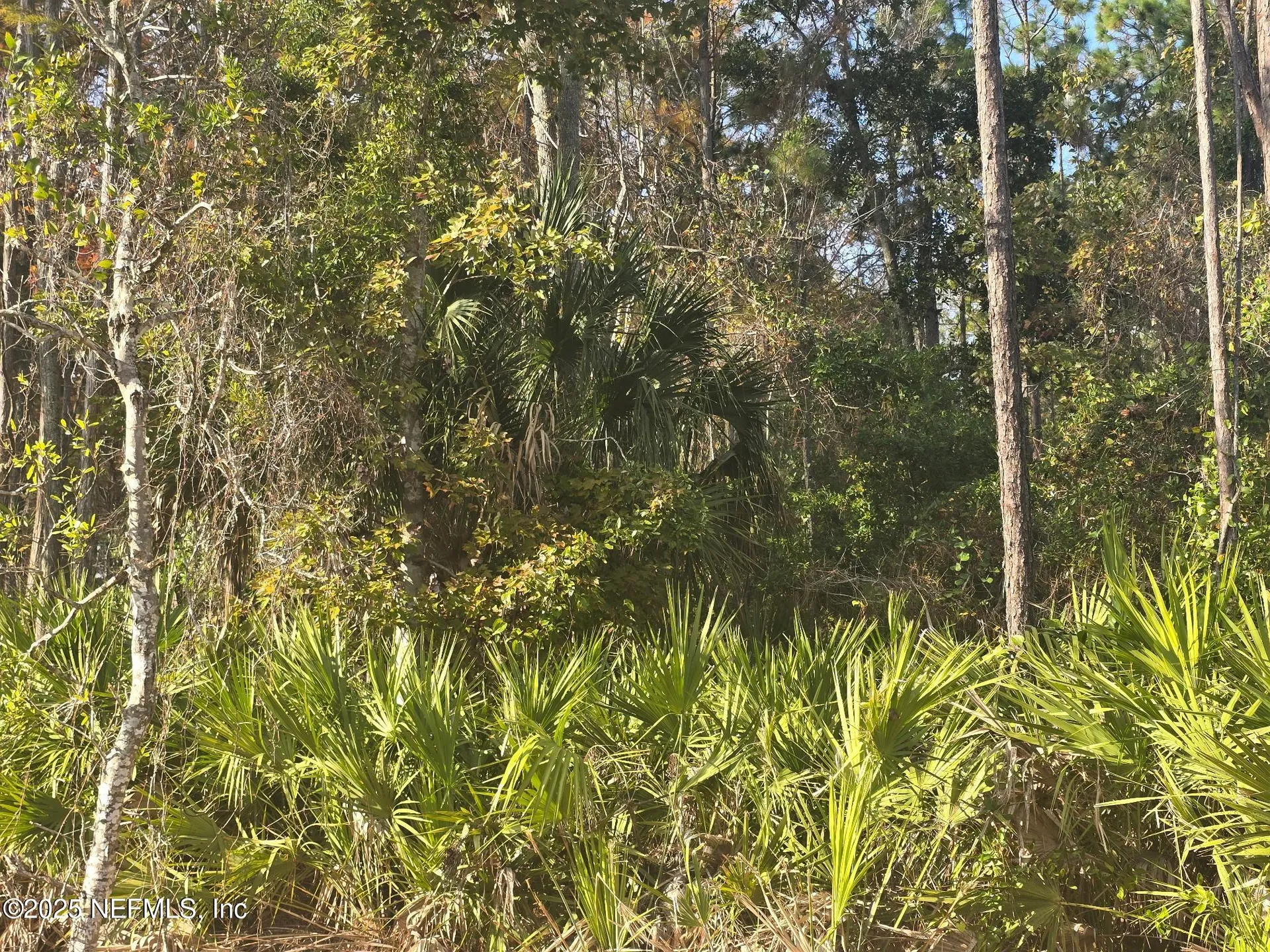 108 Coot Road Satsuma FL 32189