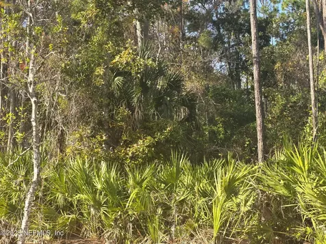 108 Coot Road Satsuma FL 32189