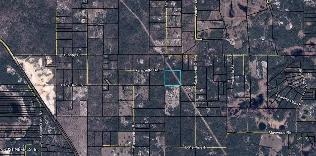 0 Cactus Hills Drive Melrose FL 32666