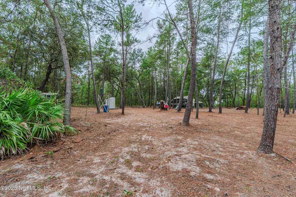 0 Cactus Hills Drive Melrose FL 32666
