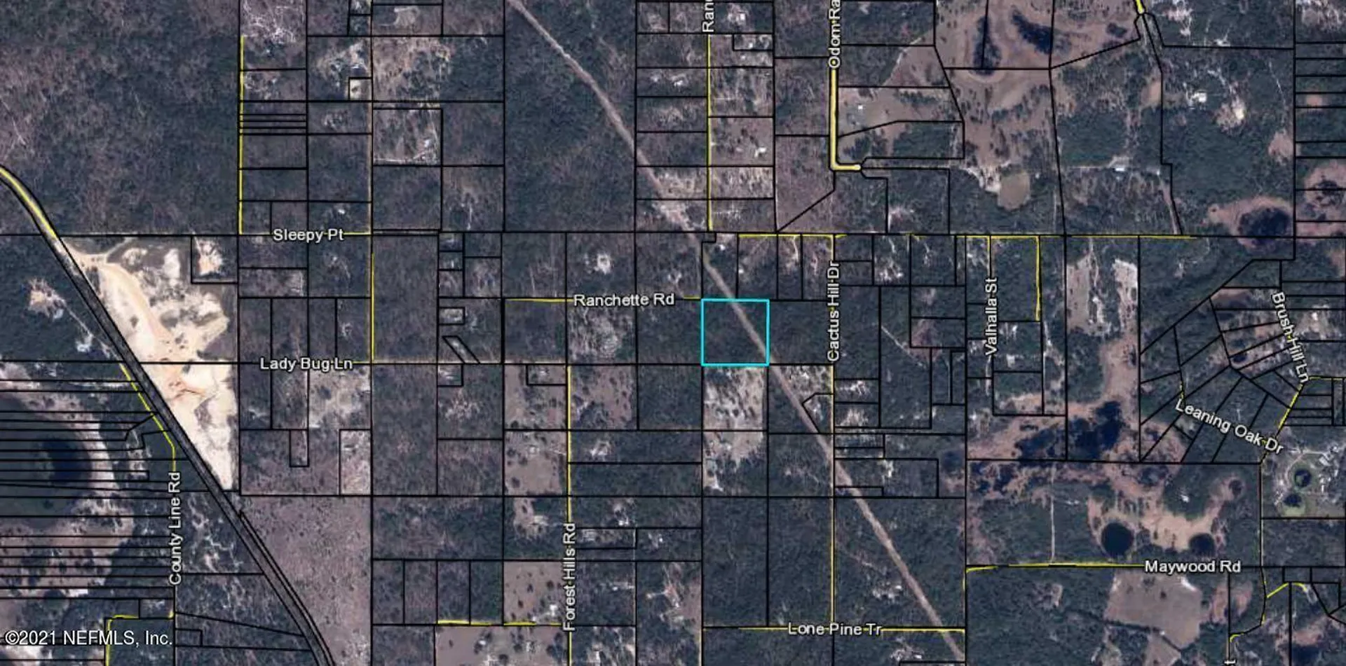 0 Cactus Hills Drive Melrose FL 32666