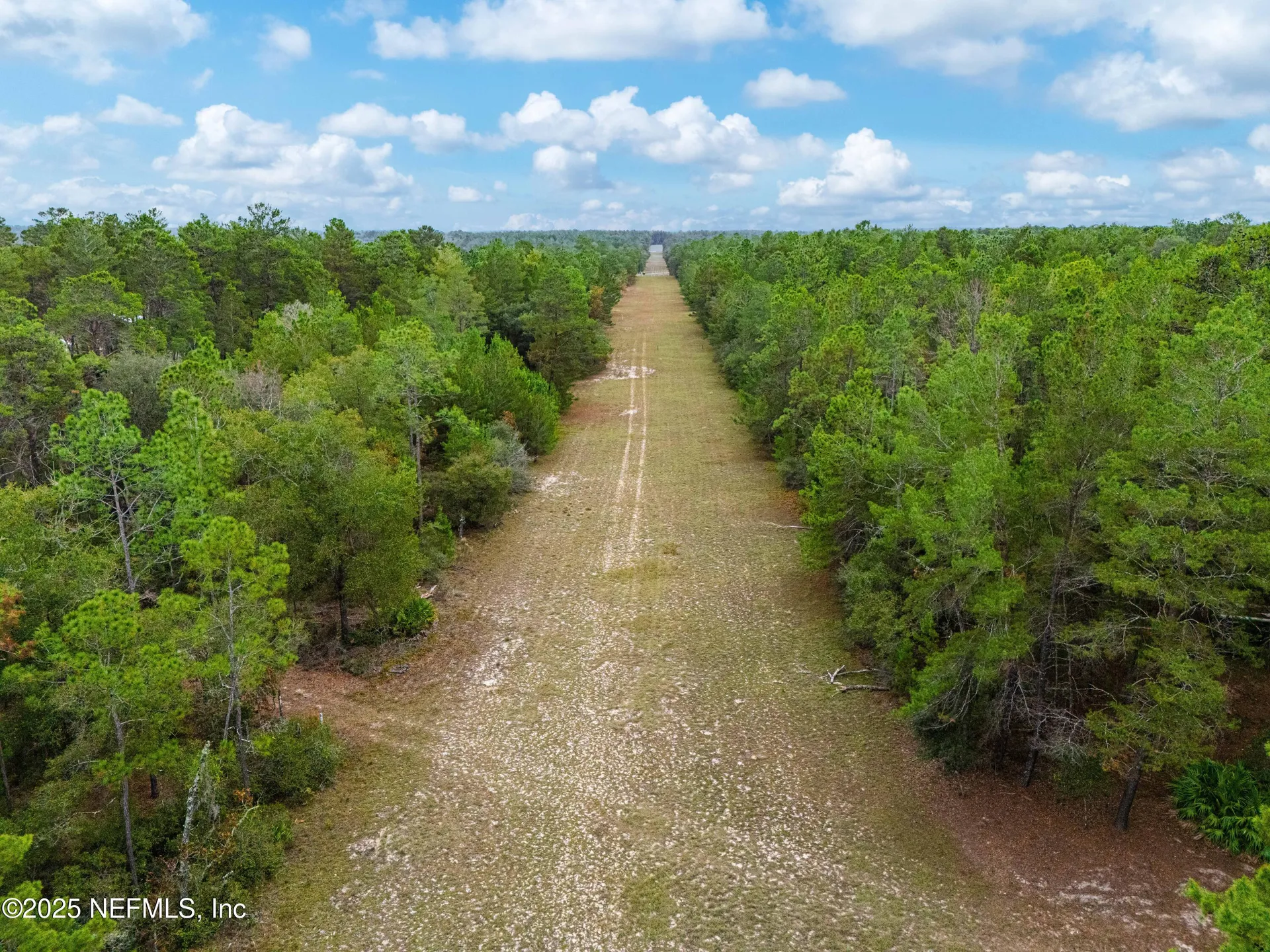 0 Cactus Hills Drive Melrose FL 32666