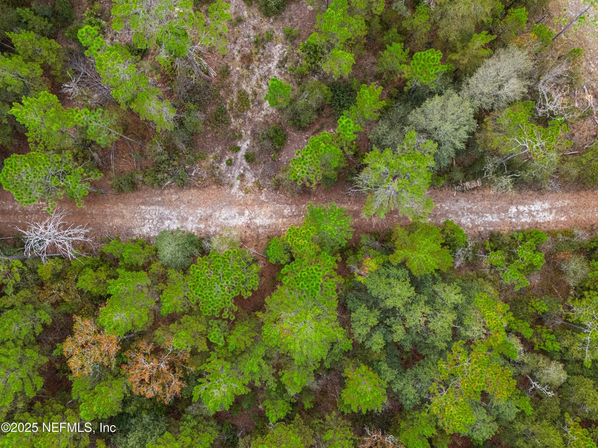 0 Cactus Hills Drive Melrose FL 32666