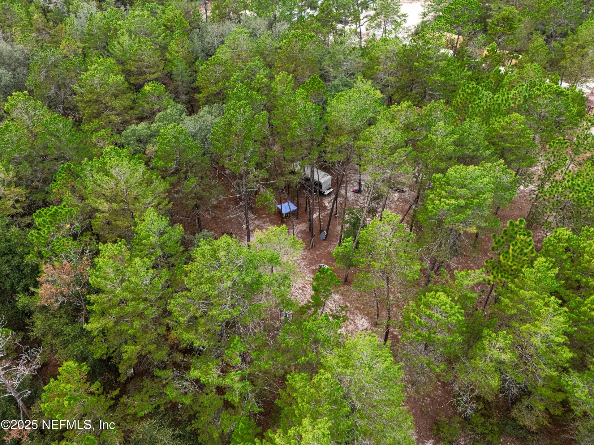 0 Cactus Hills Drive Melrose FL 32666
