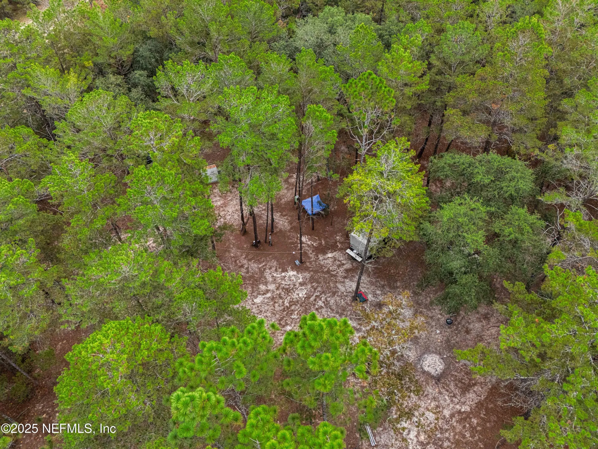 0 Cactus Hills Drive Melrose FL 32666