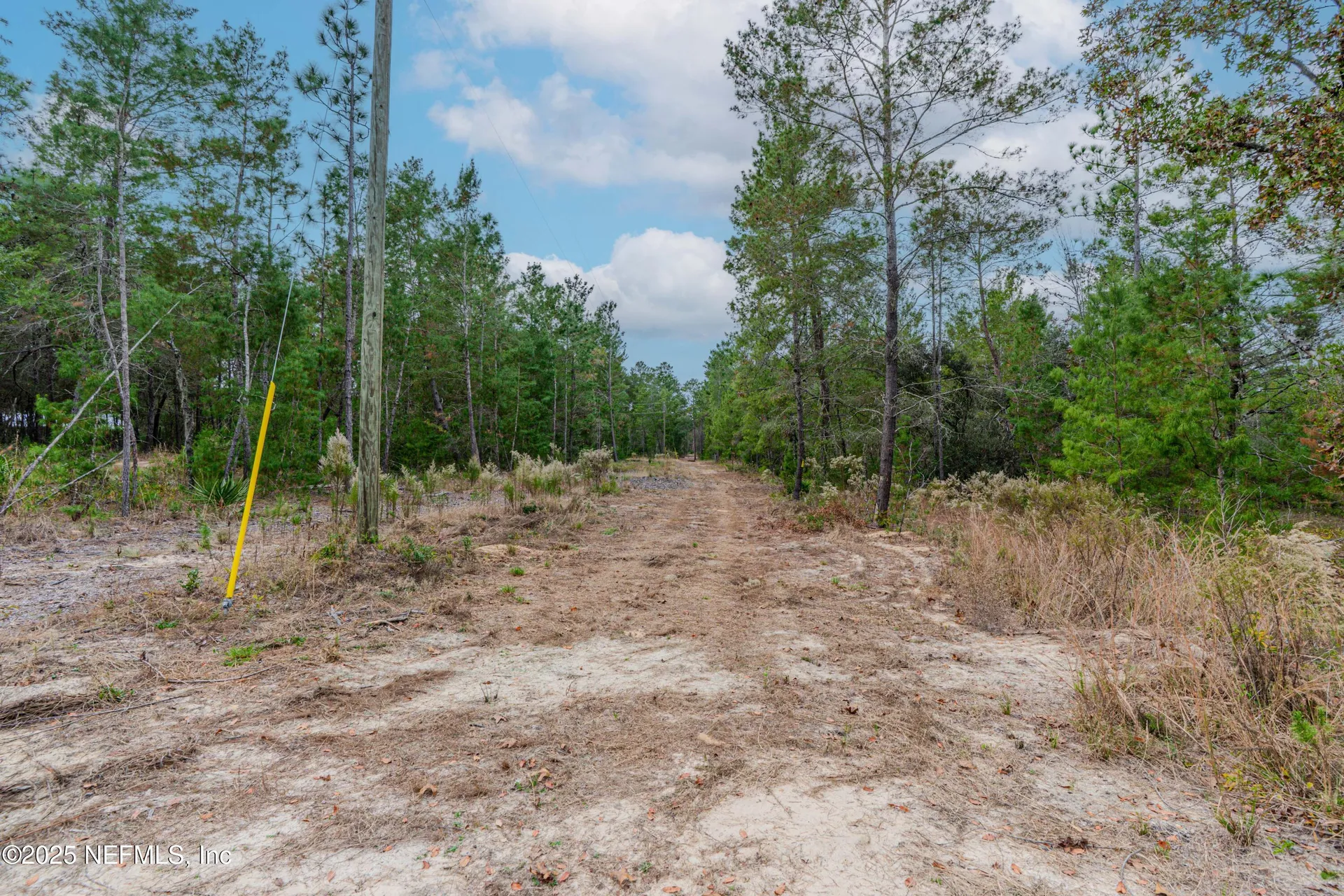 0 Cactus Hills Drive Melrose FL 32666