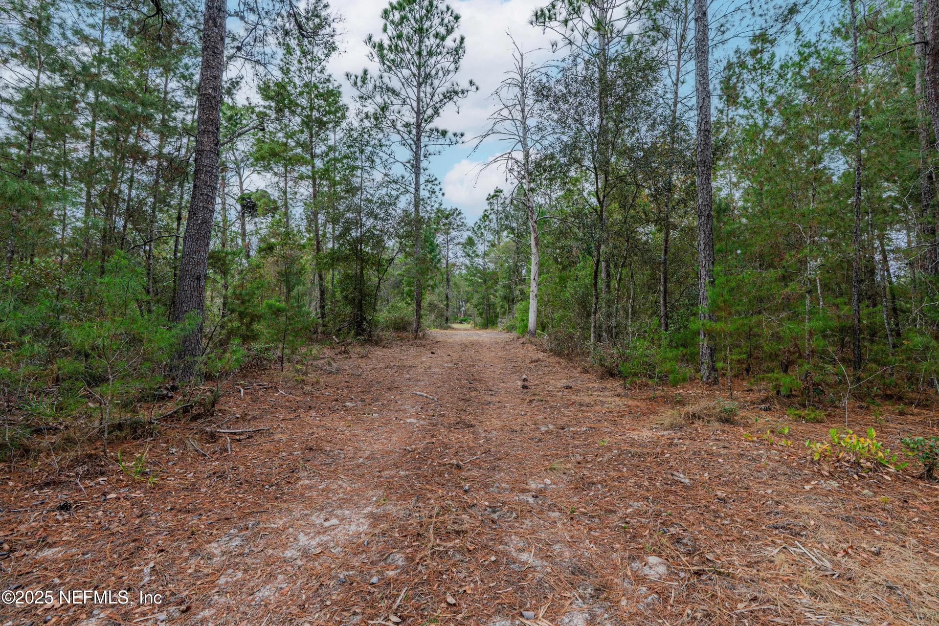 0 Cactus Hills Drive Melrose FL 32666