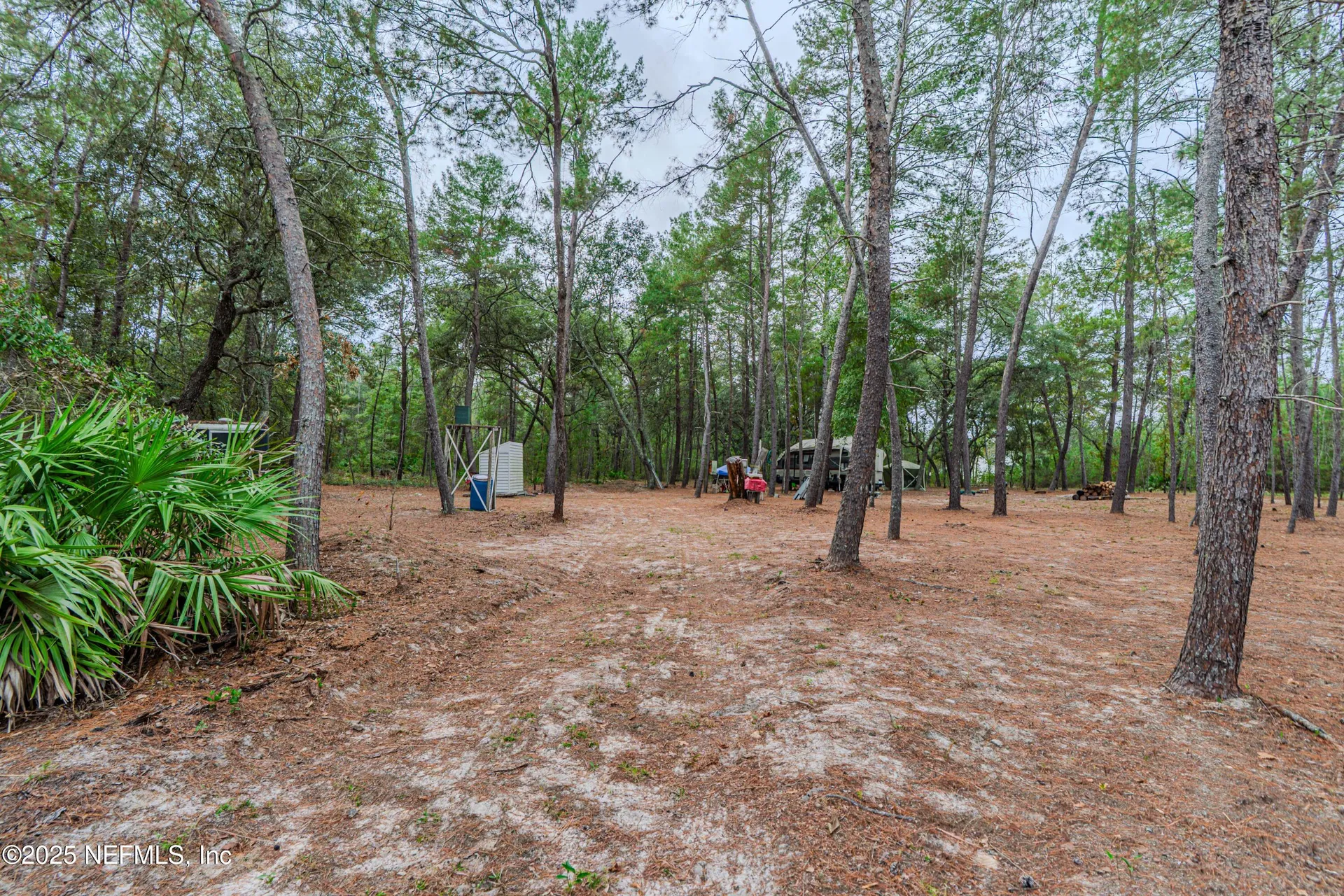 0 Cactus Hills Drive Melrose FL 32666