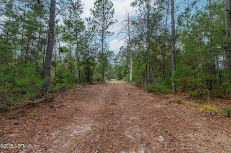 0 Cactus Hills Drive Melrose FL 32666