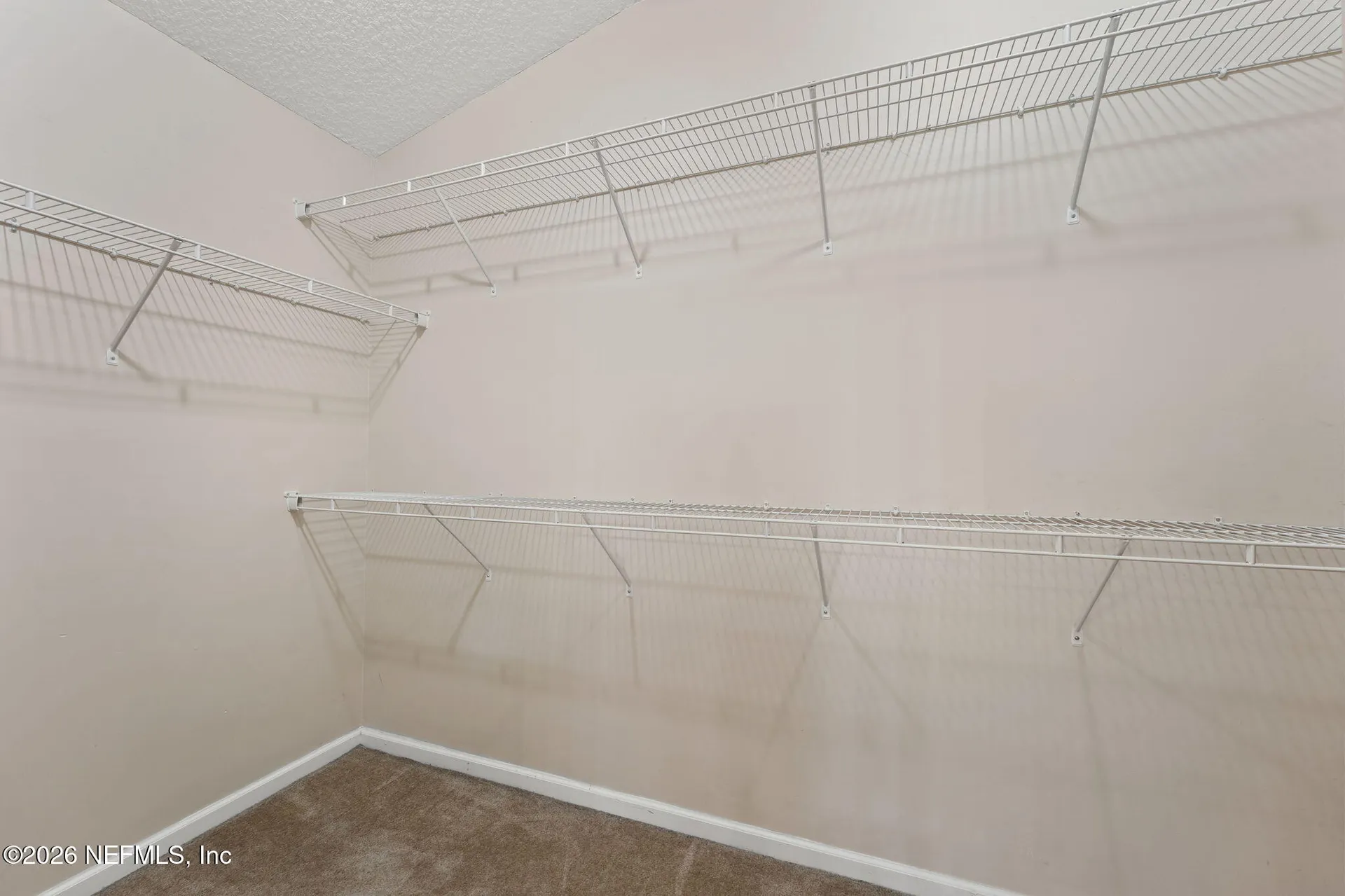 2815 Woodbridge Crossing Court Green Cove Springs FL 32043