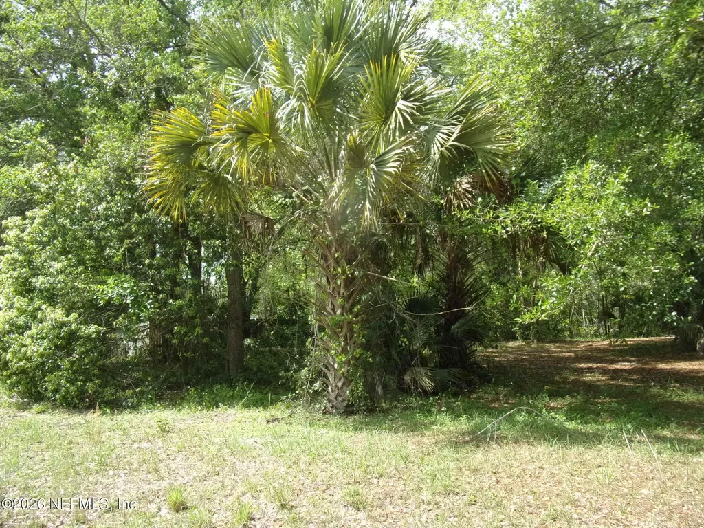 257 Tarpon Boulevard Palatka FL 32177
