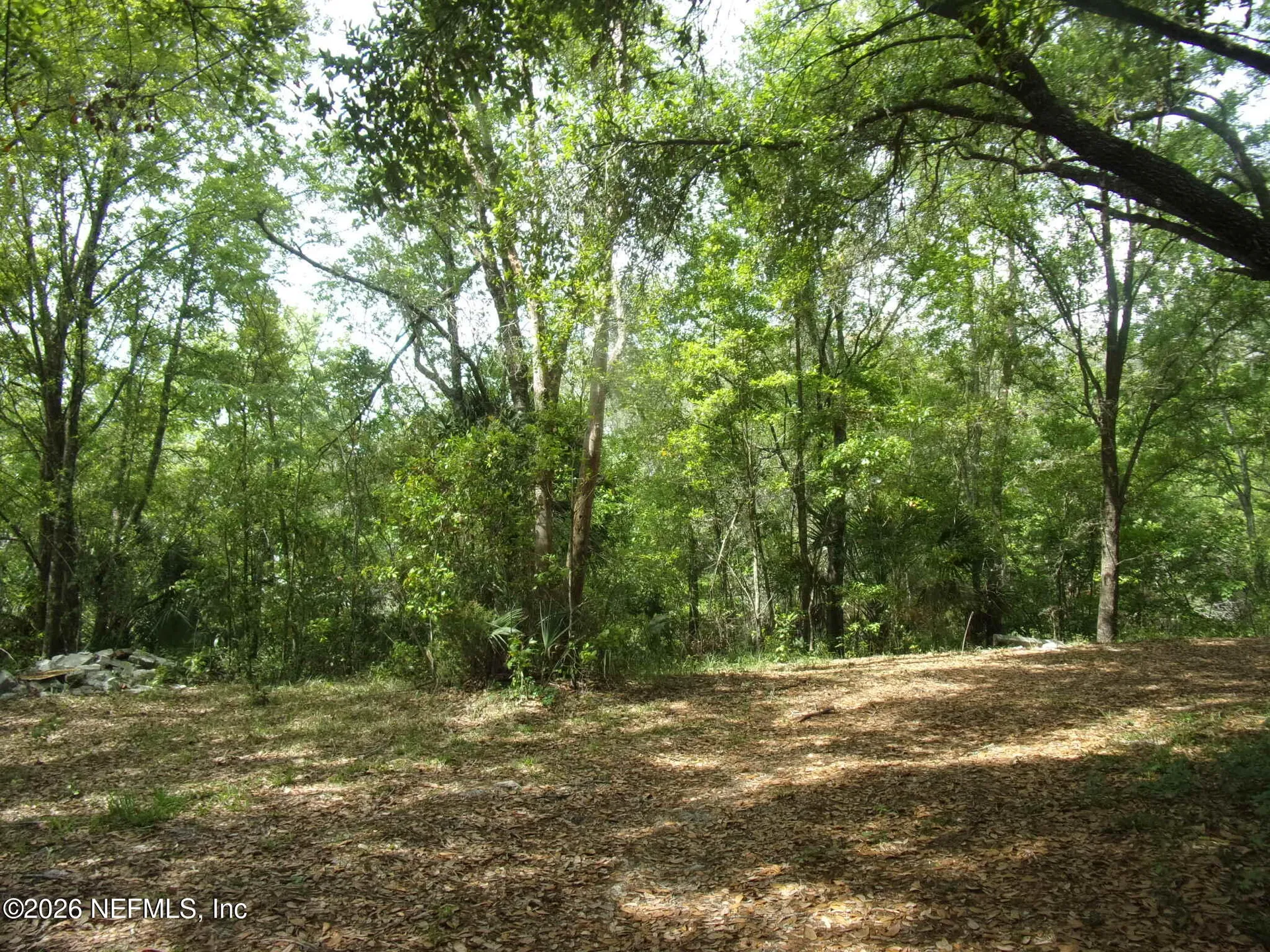 257 Tarpon Boulevard Palatka FL 32177