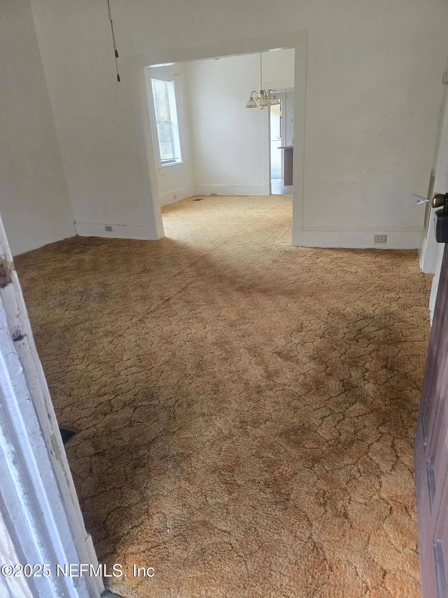5171 Antler Trail Middleburg FL 32068