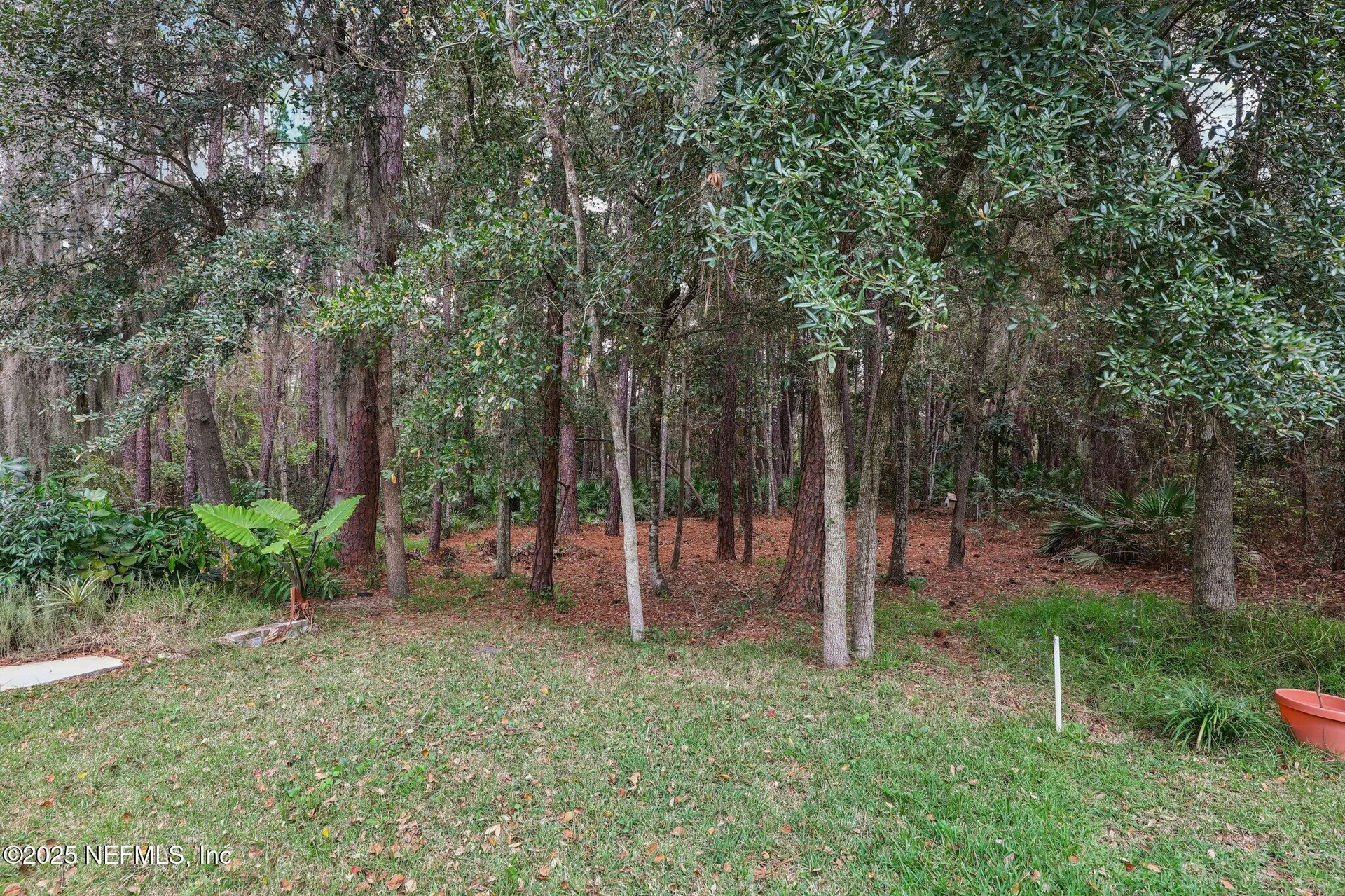 12349 Shady Bridge Trail Jacksonville FL 32258