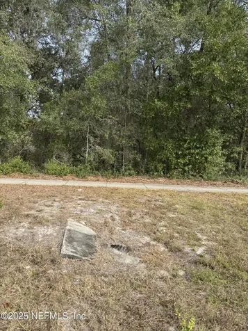1682 S Highway 17 S Pomona Park FL 32181