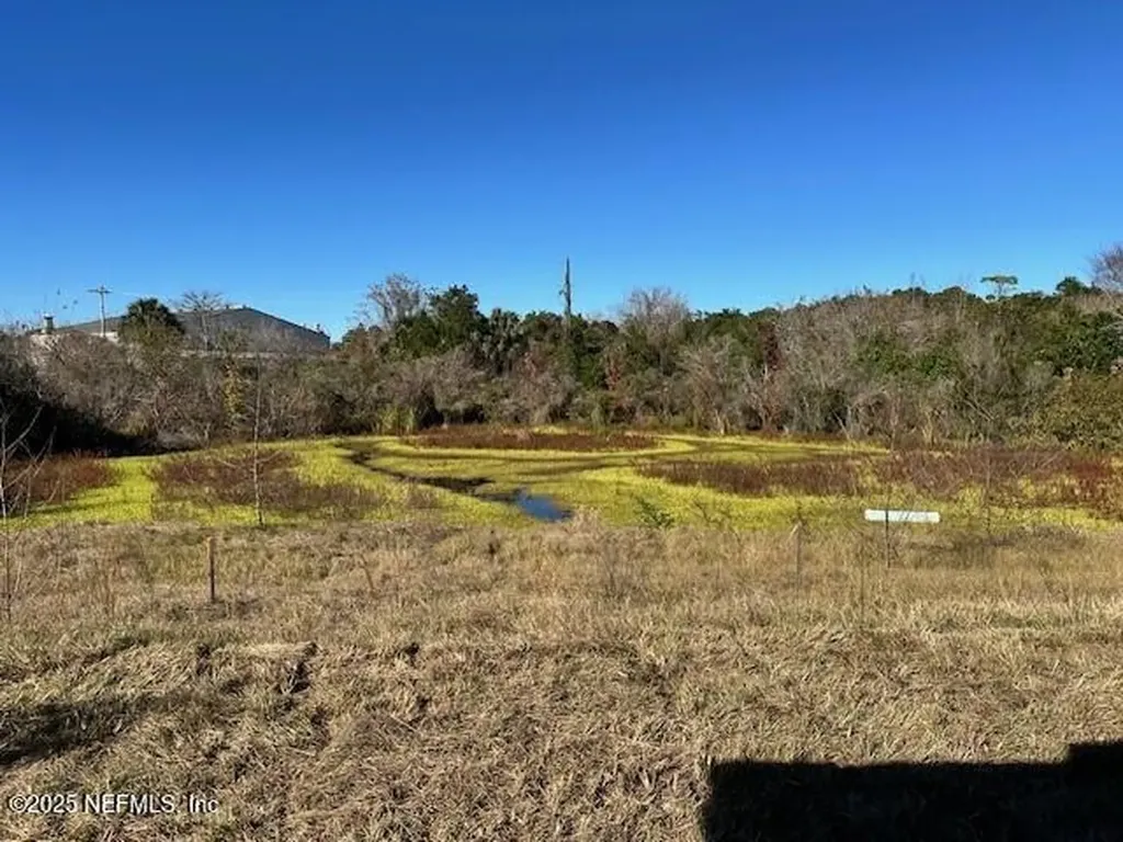 4105 Audubon Avenue Green Cove Springs FL 32043