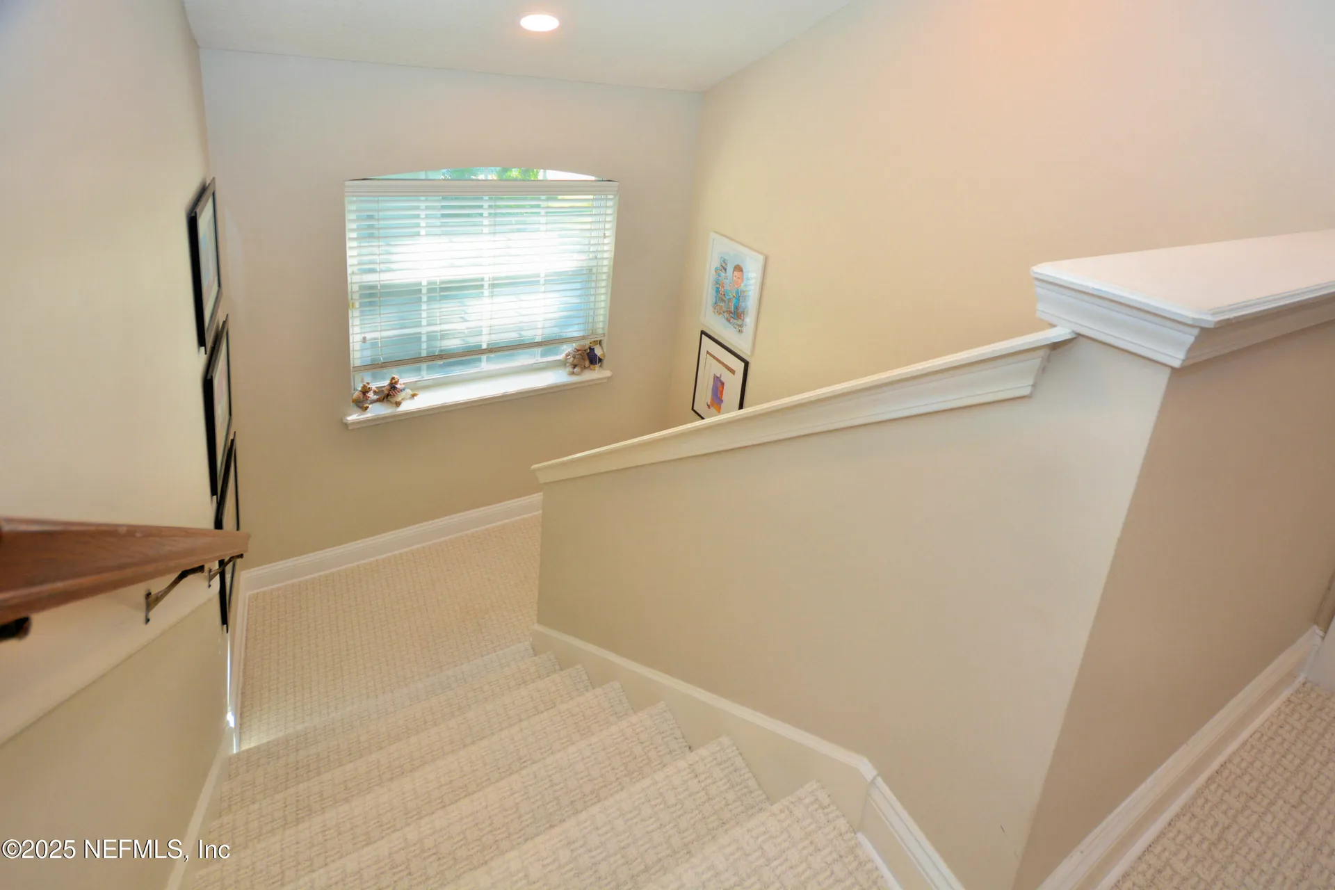 516 Bronze Branch Court Jacksonville FL 32259