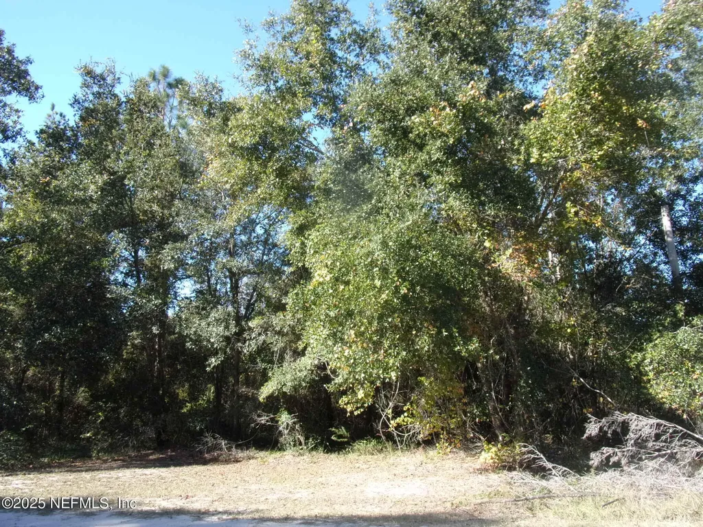 00 Oak Run Road Crescent City FL 32112