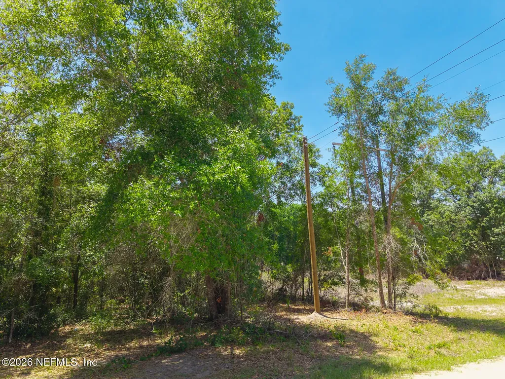 00 Oak Run Road Crescent City FL 32112