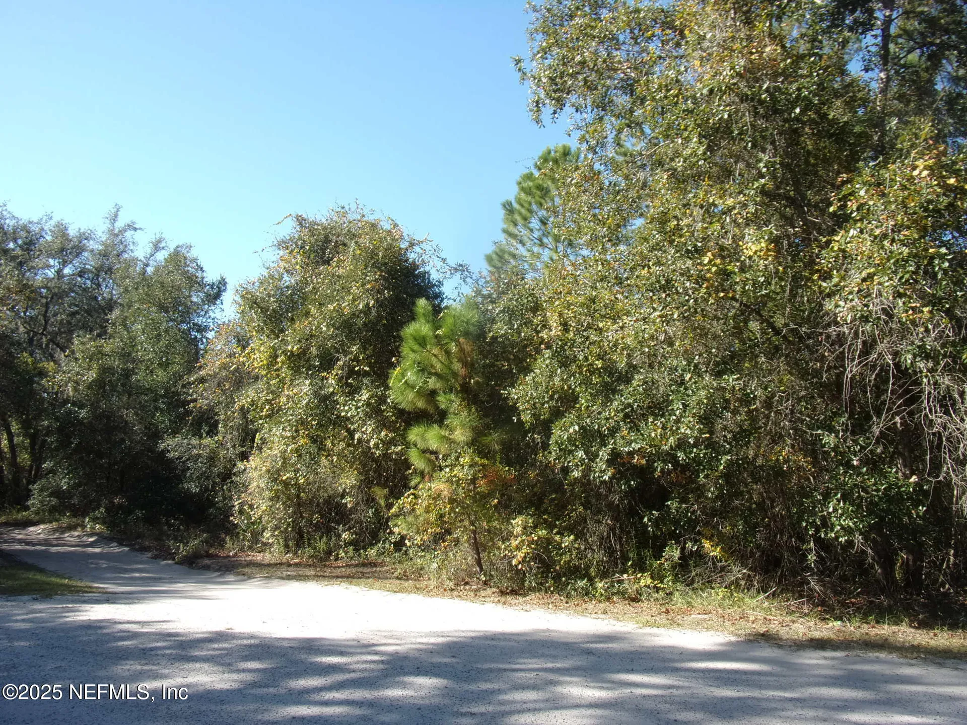 00 Oak Run Road Crescent City FL 32112