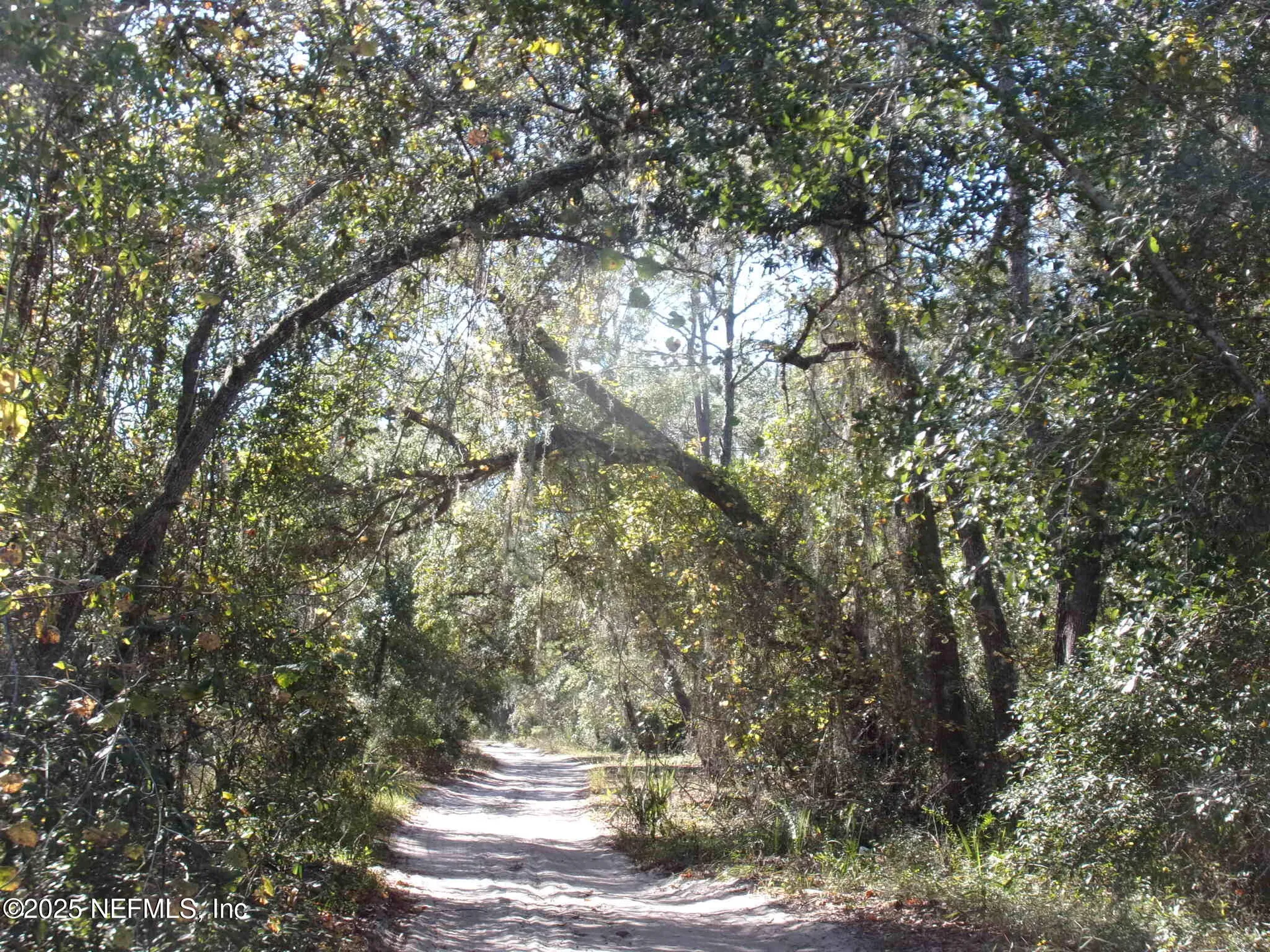 00 Oak Run Road Crescent City FL 32112