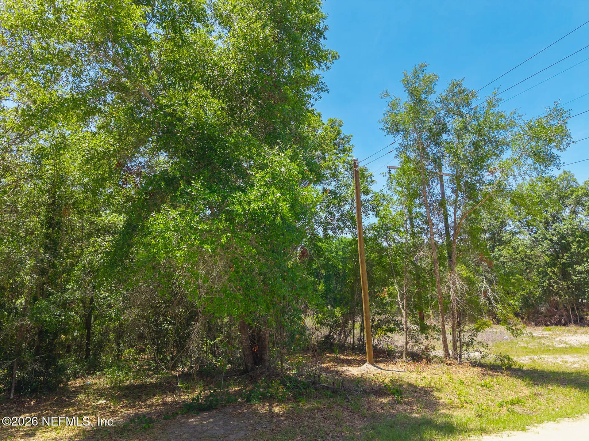 00 Oak Run Road Crescent City FL 32112