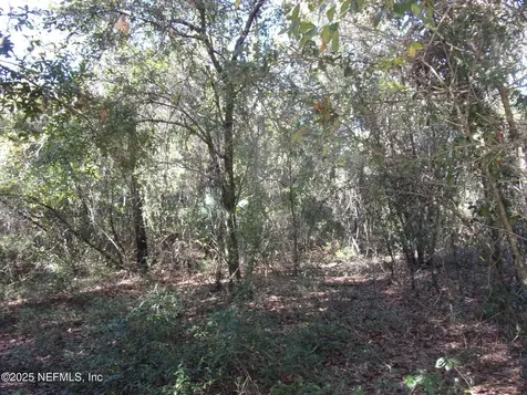 00 Oak Run Road Crescent City FL 32112